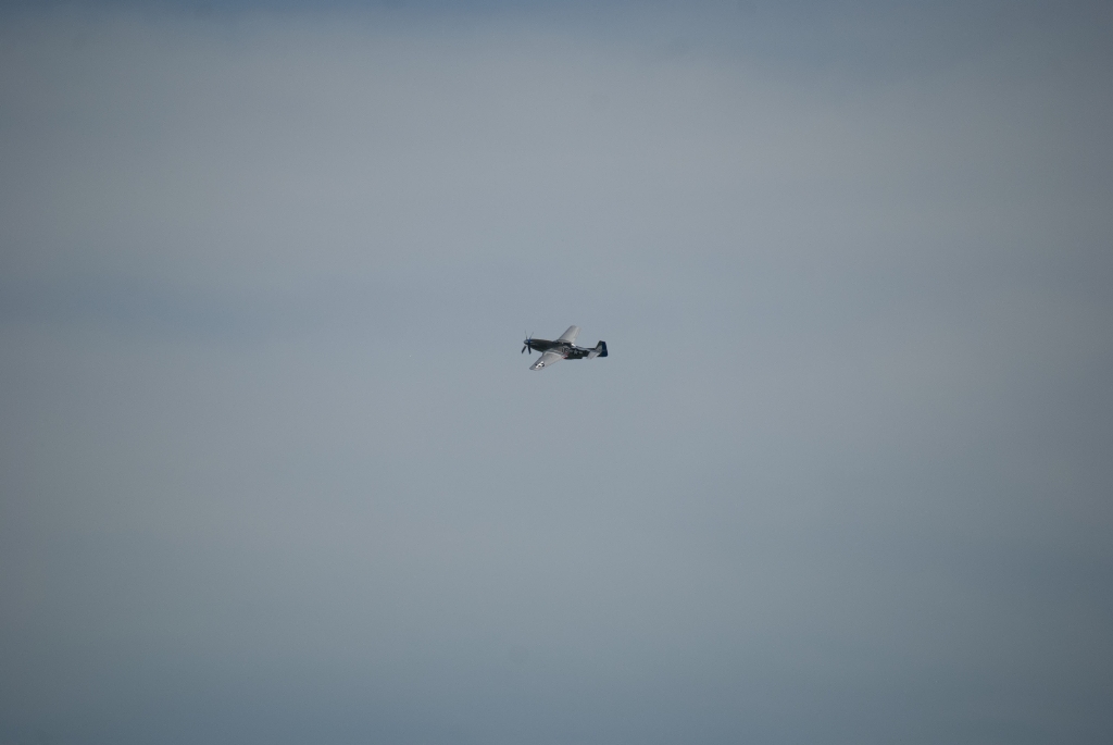 DSC_3588.jpg